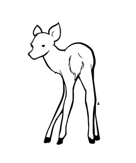 267x320 Digital Woodland Drawing Doe Custom Drawing For Baby