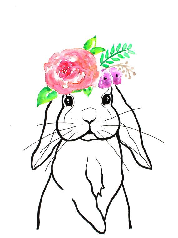 570x761 Bunny Drawing Bunny Watercolor Original Art