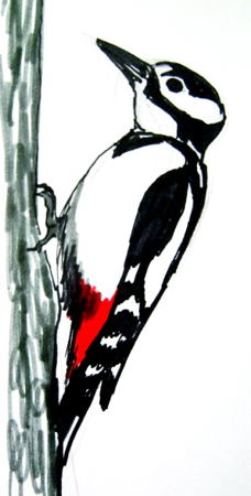 228x450 How To Draw A Woodpecker