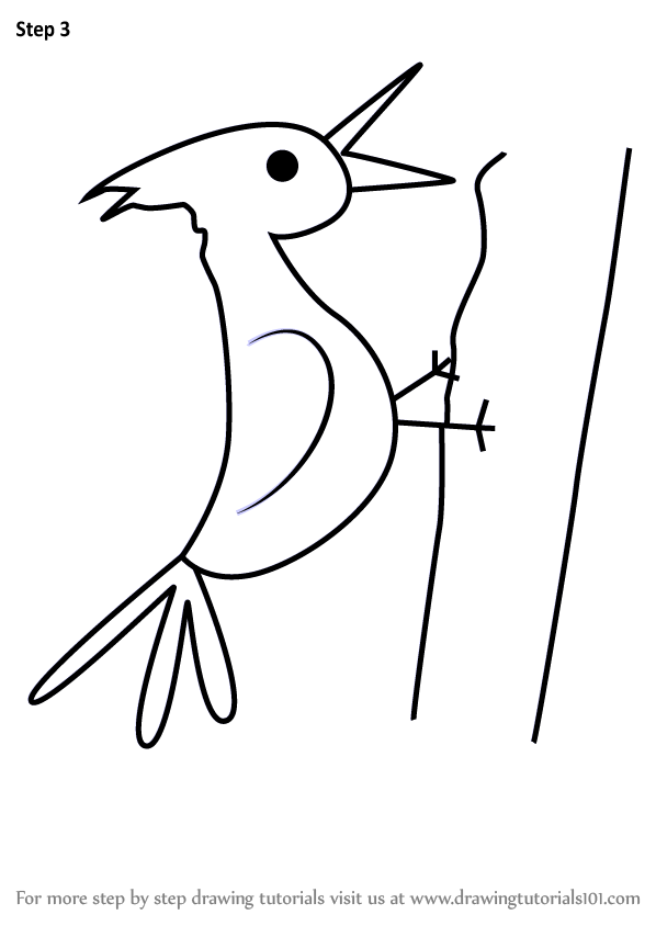 598x844 Learn How To Draw A Woodpecker For Kids
