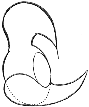 350x421 my mom used to draw woody woodpecker like this on our chalkboard