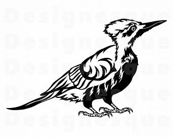 340x270 Woodpecker Clipart Etsy