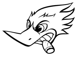 320x229 Woody Woodpecker Decal Sticker