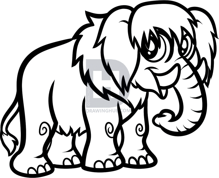 885x720 How To Draw A Woolly Mammoth, Step
