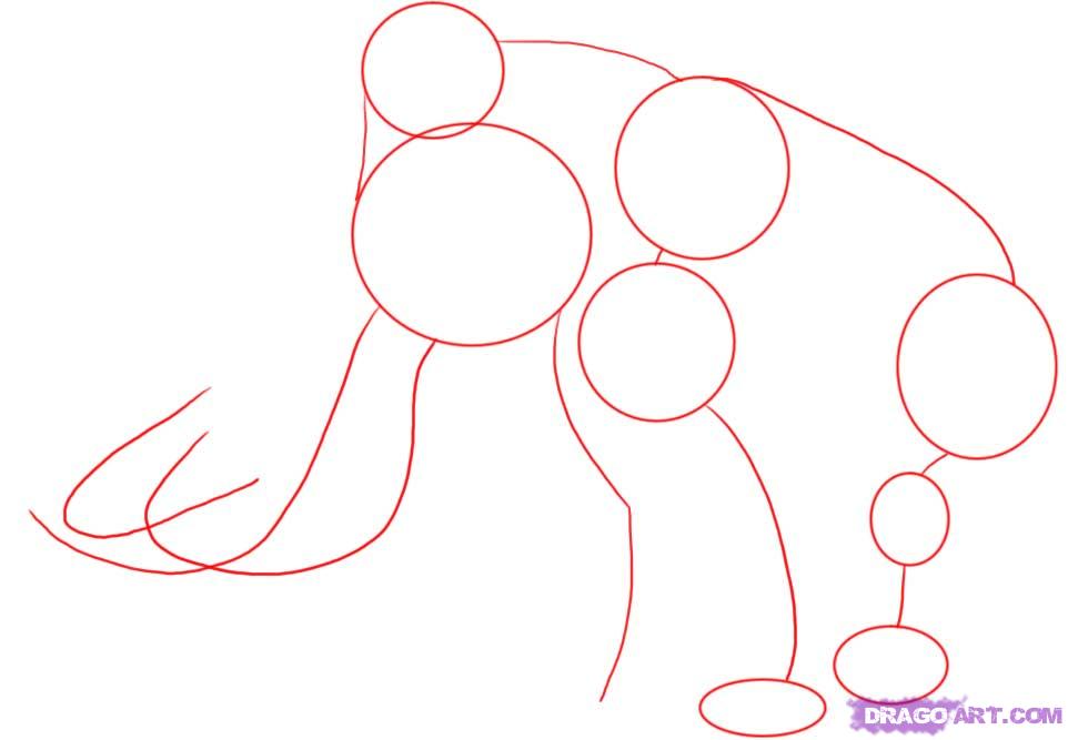 962x667 How To Draw A Woolly Mammoth, Step