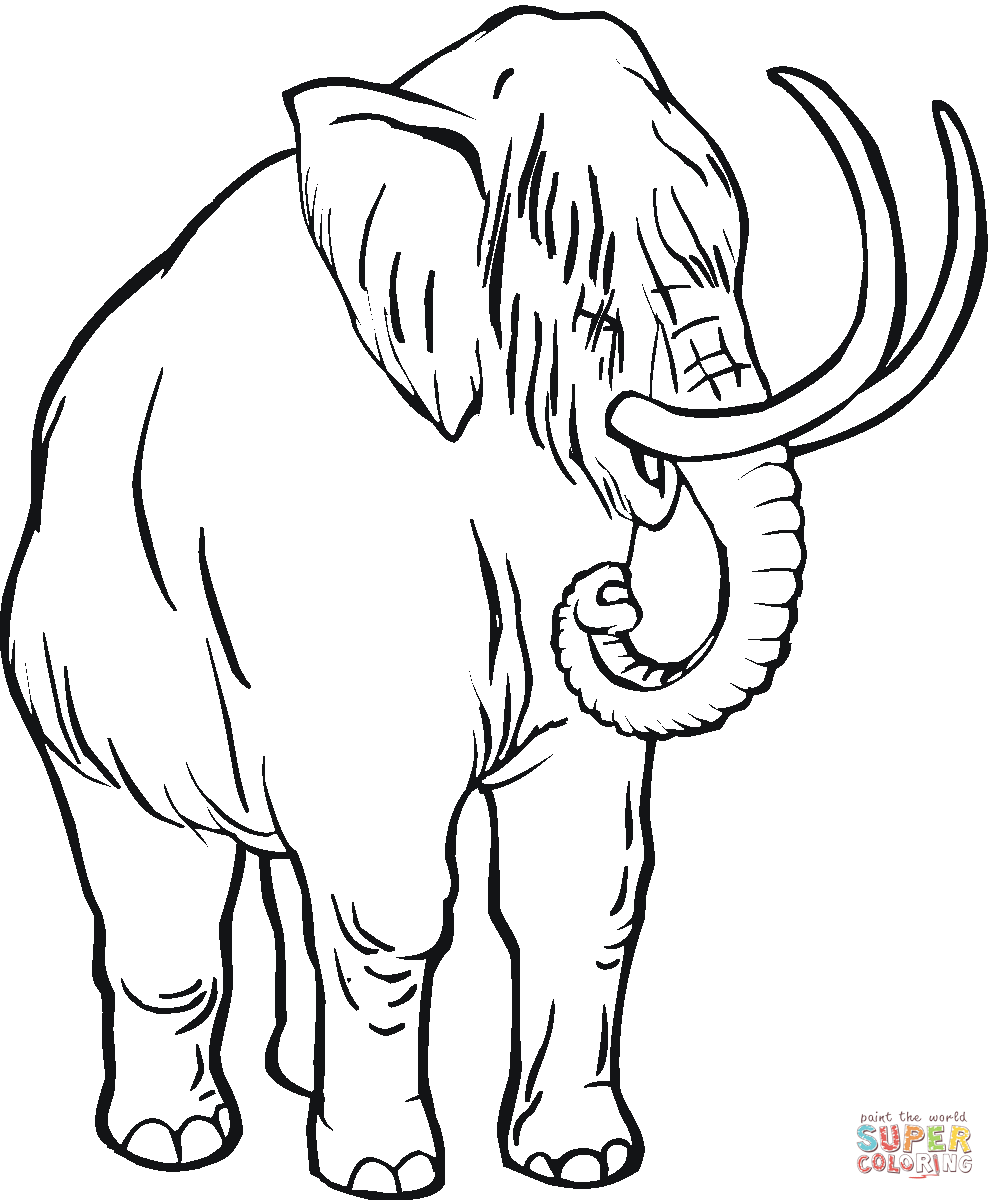 Woolly Mammoth Drawing | Free download on ClipArtMag