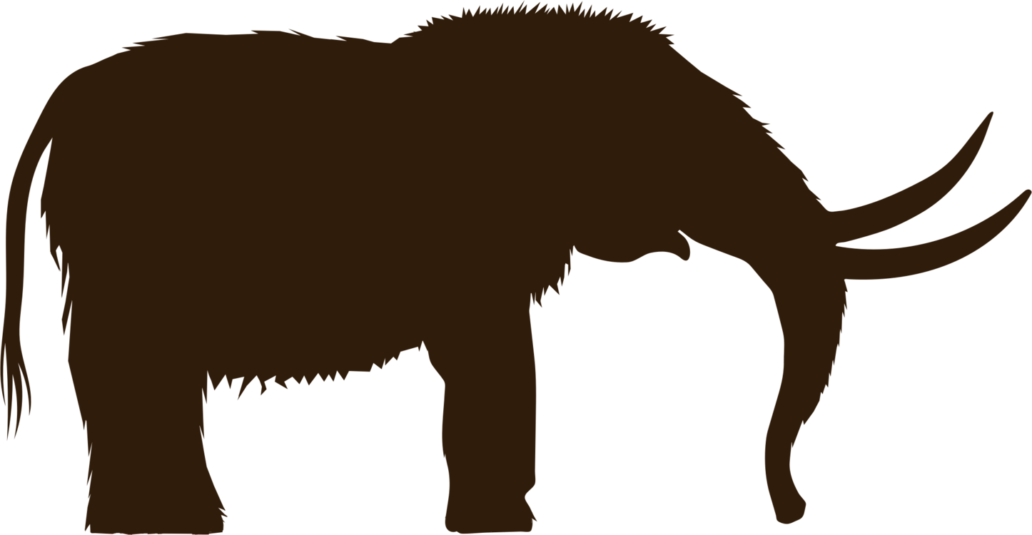 1446x750 Mammoth Drawing, Picture