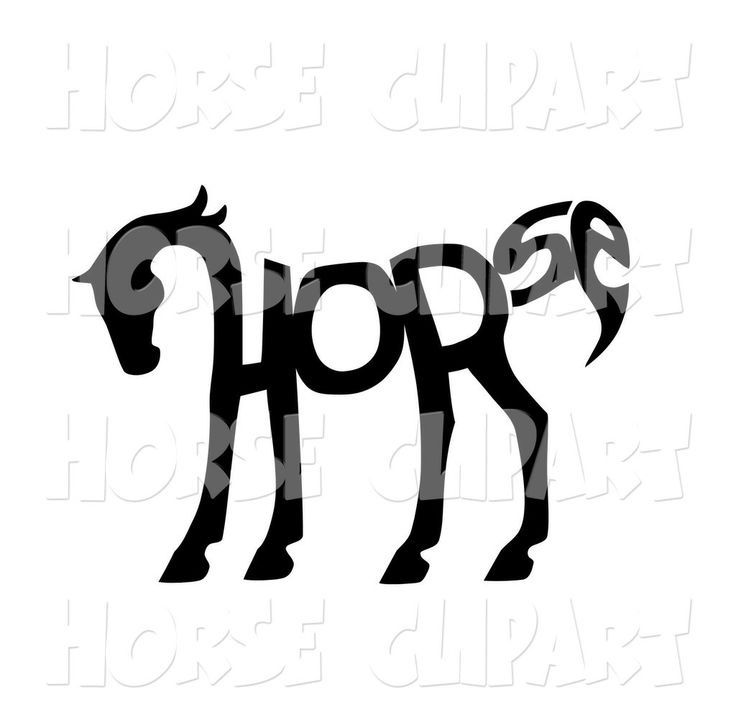 736x728 Horse