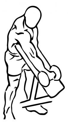 228x420 the best bicep exercises for mass drawings biceps workout