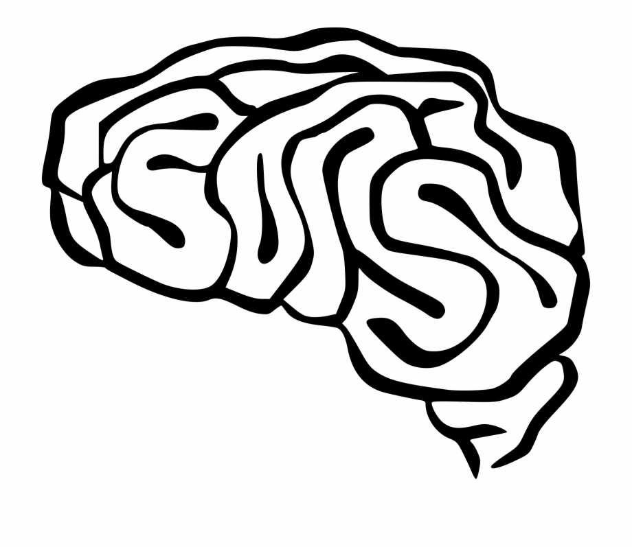 920x797 Drawing Of Brain