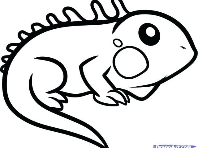 640x480 Kids Drawings Of Animals