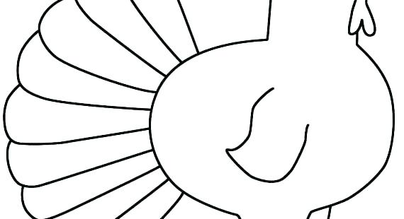 570x310 Turkey Drawing For Kids
