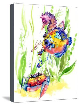 338x450 Beautiful Fish Canvas Artwork For Sale, Art And Prints