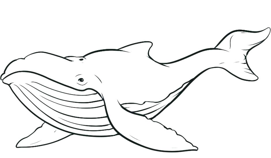 940x551 World Under Sea Drawing At Free For Personal Use Coloring Pages
