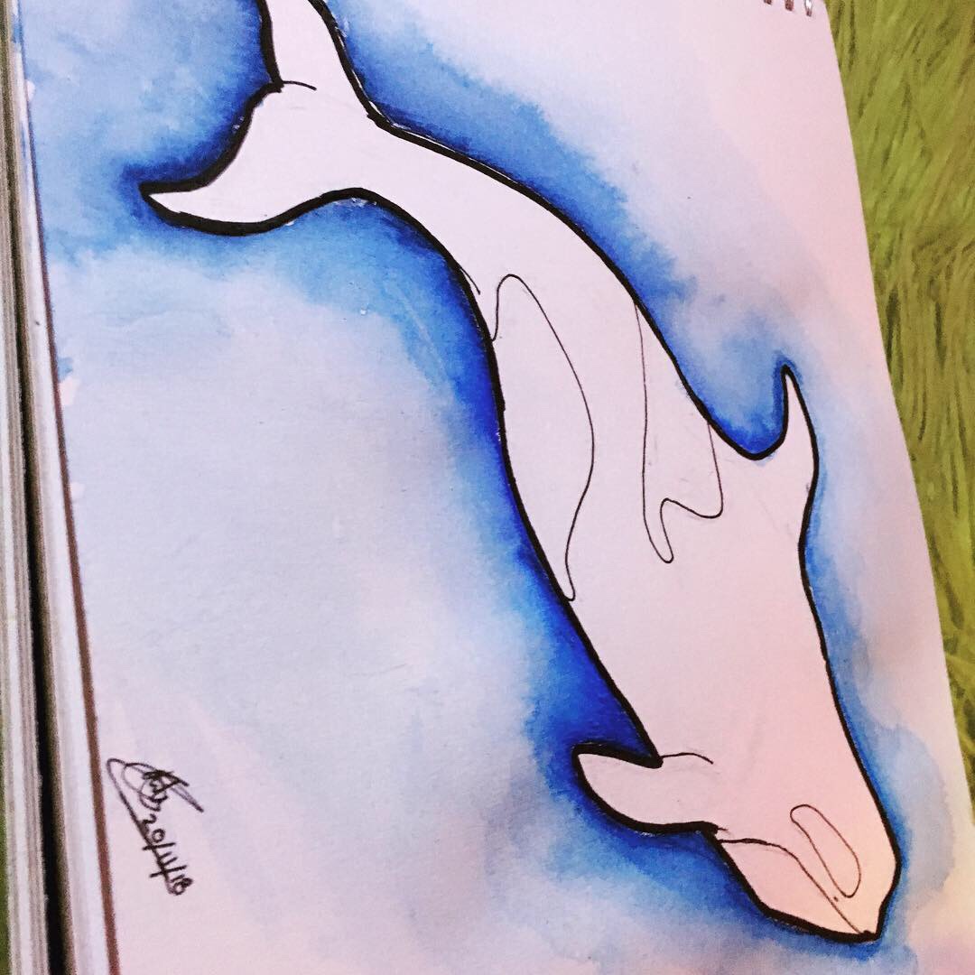 1080x1080 Boycott Sea World Generation Why An Arty Feminist