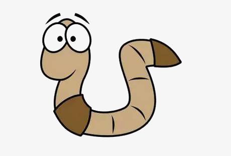 460x310 drawing a cartoon worm in computer viruses and other