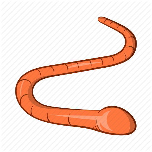 512x512 Animal, Cartoon, Drawing, Earthworm, Illustration, Sign, Worm Icon