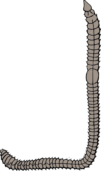 348x590 Earth Worm Clip Art Free Vector In Open Office Drawing