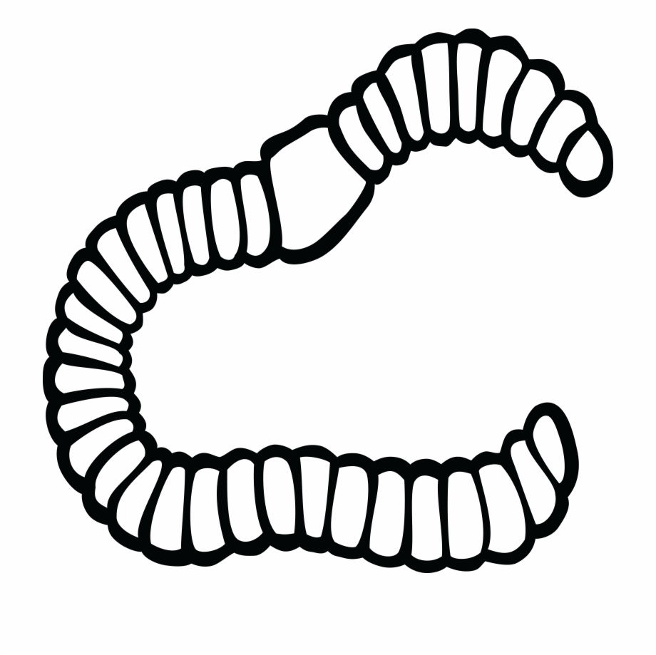 920x919 Earthworm Black And White Drawing