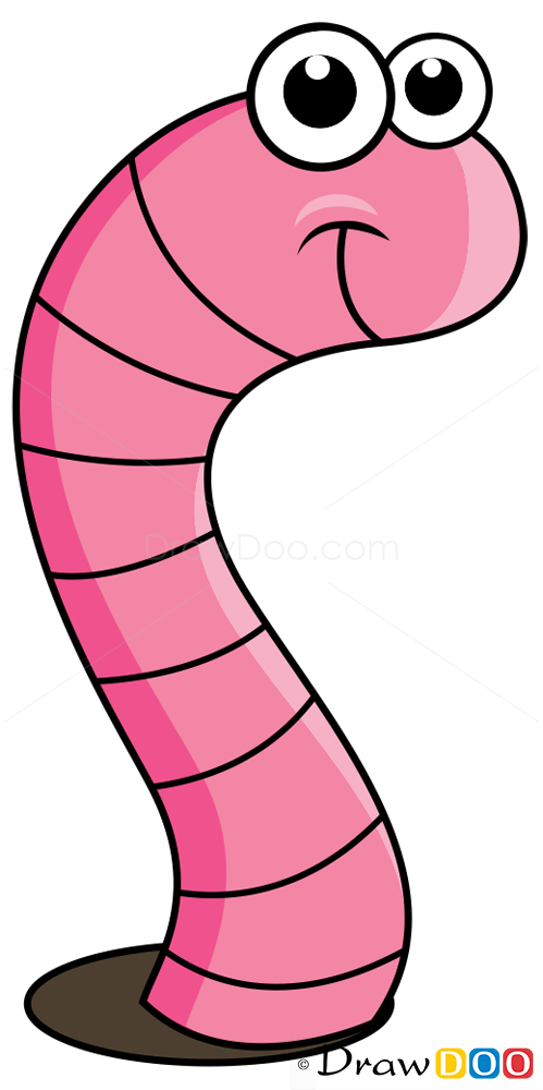 499x1000 How To Draw Worm, Insects