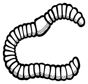 355x340 Parasitism Drawing Worm Transparent Png Clipart Free Download