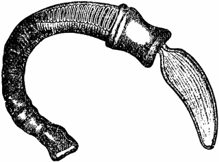 320x236 Worm Clipart Drawing