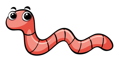 457x240 Worm Drawing Photos, Royalty Free Images, Graphics, Vectors