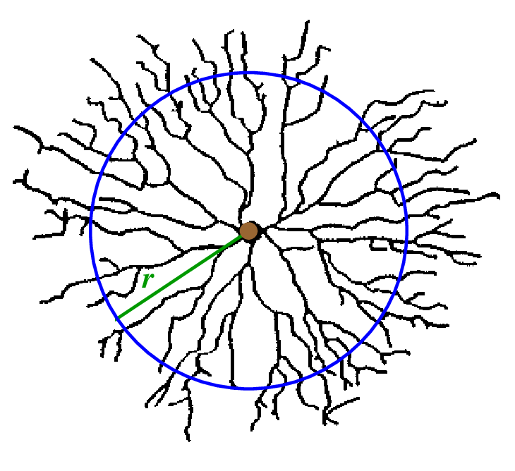 730x668 Llustration Of The Top View Of A Wormhole Zone The Center Spot