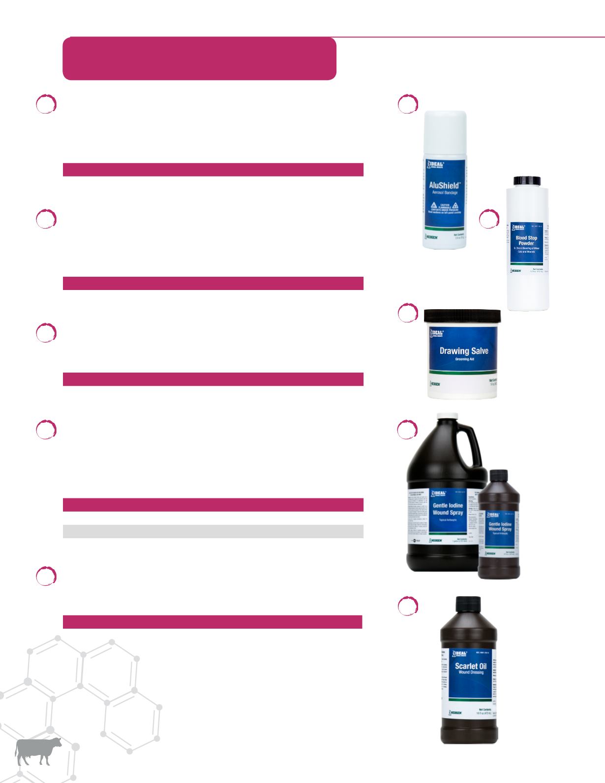 1230x1593 Neogen's Dairy Solutions Catalog