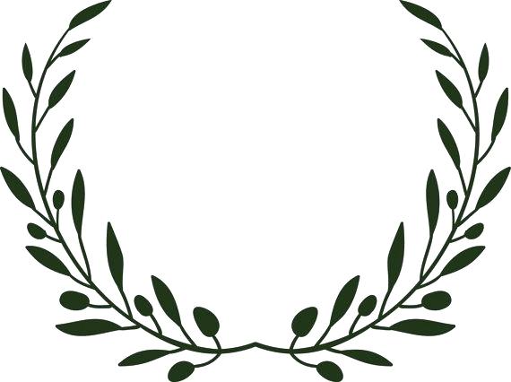 570x426 Image Olive Branch Wreath Drawing Greenery Frames And Wreaths