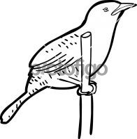 196x200 Hand Drawn Icon From Pictofigo For Zapata Wren