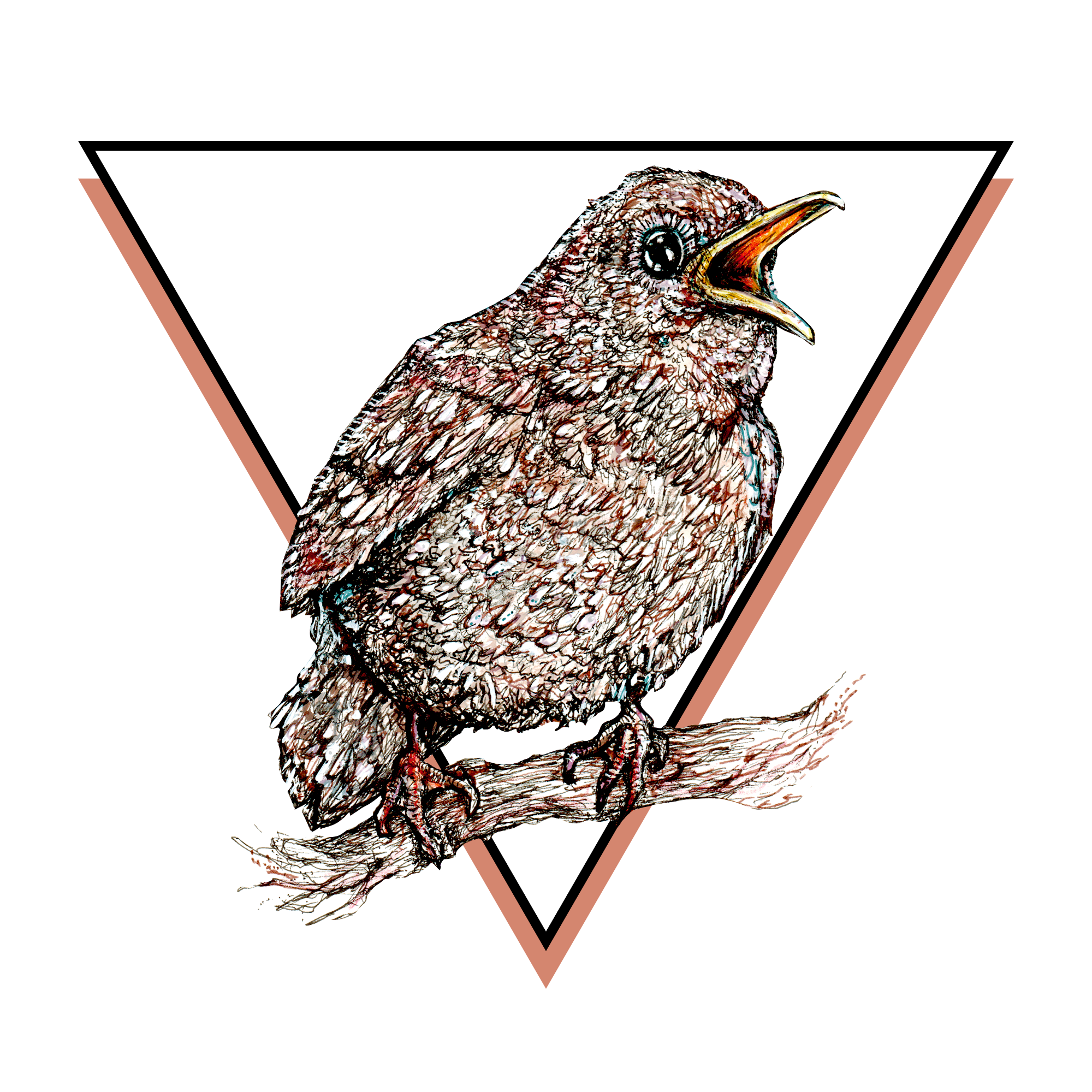 2000x2000 House Wren