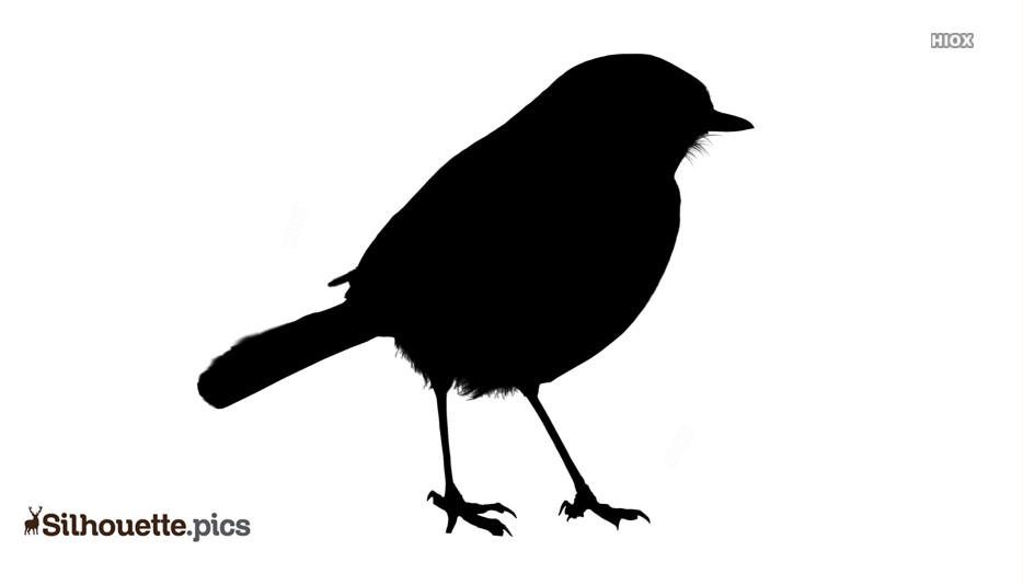 934x534 Wren Silhouette Image Silhouette Pics