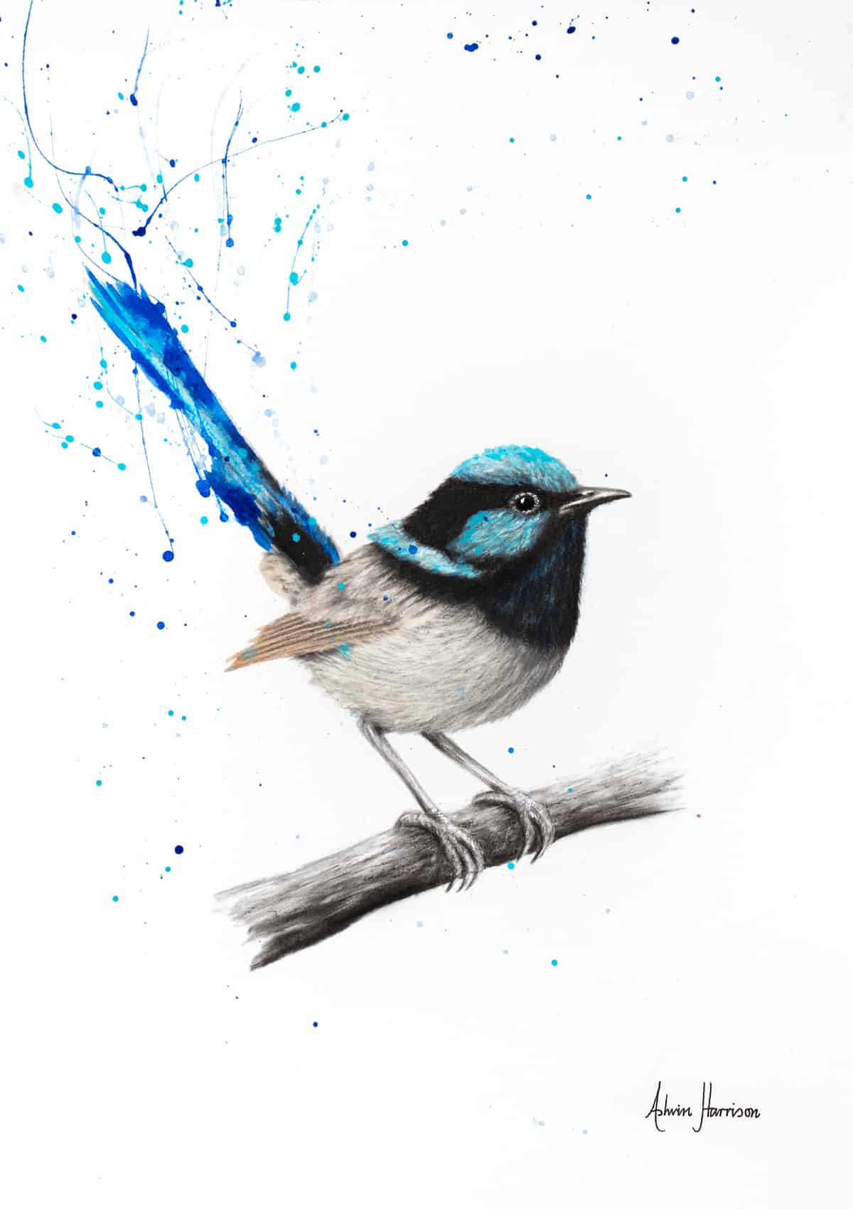 1200x1700 Wren Whisper Limited Edition Print Original Art Ashvin Harrison