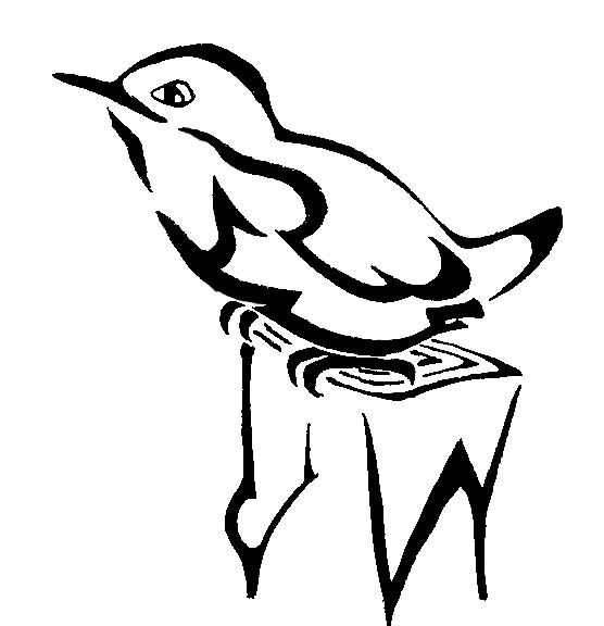 556x576 Little Wren On Stump