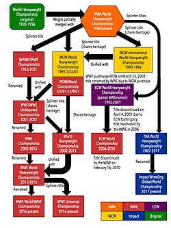 250x333 Wwe Universal Championship