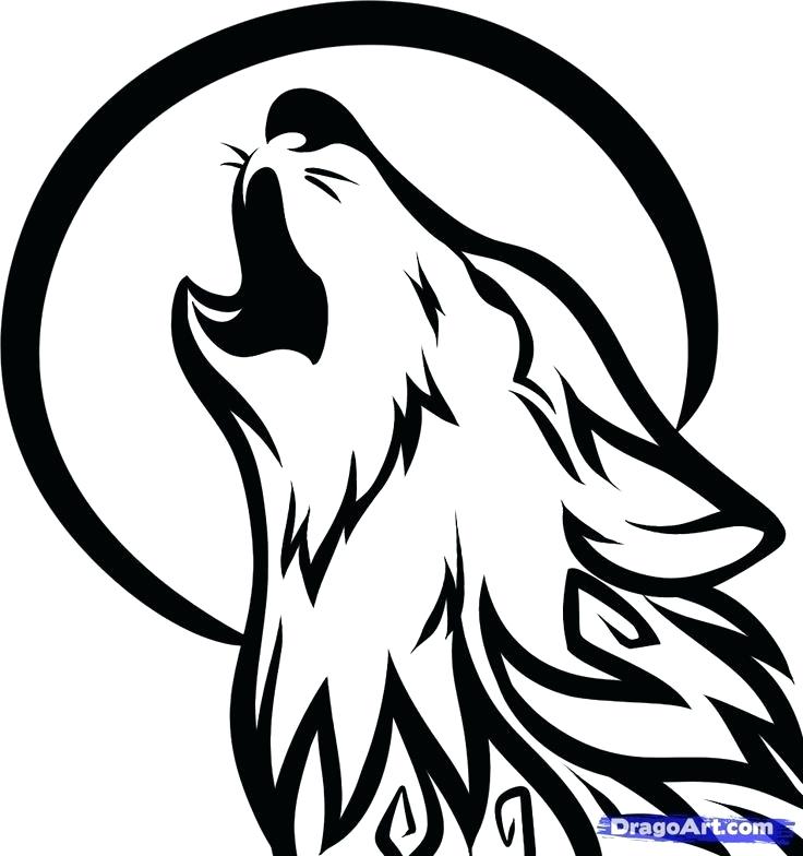 736x784 Wolf Drawings For Kids Wolf Drawing Wolf Drawing Coffret Dvd