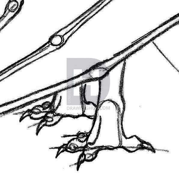 596x579 how to draw a wyvern, step