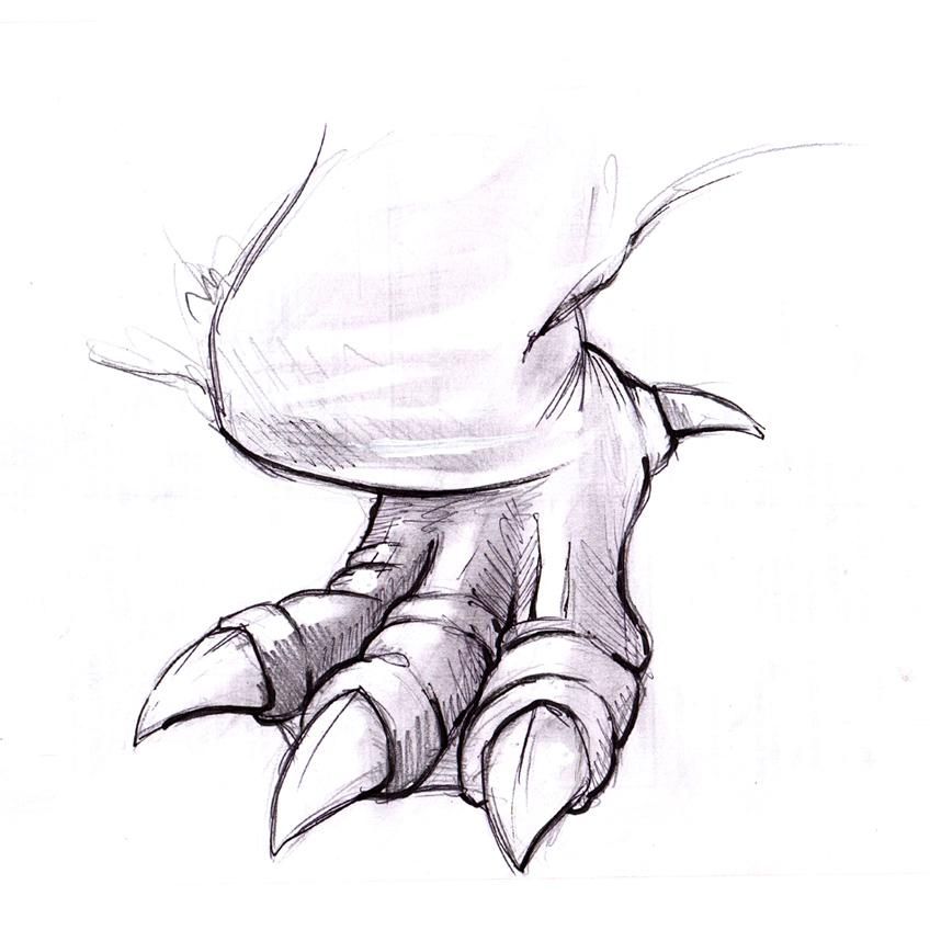 848x848 learn how to draw a wyvern leg exercise of a part series