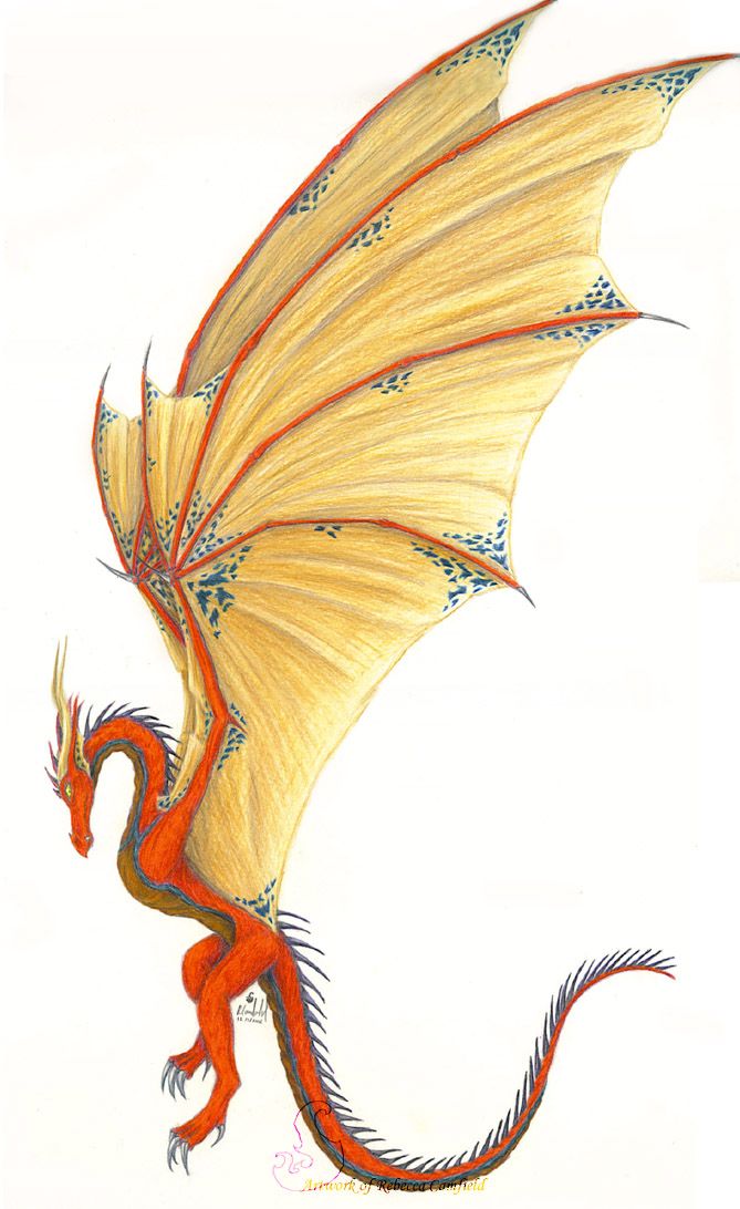 669x1092 red wyvern