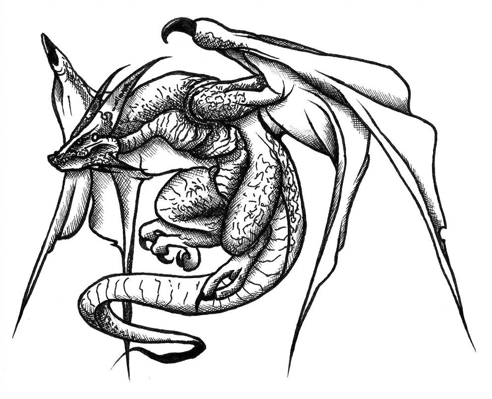 993x805 wyvern cross hatching wip