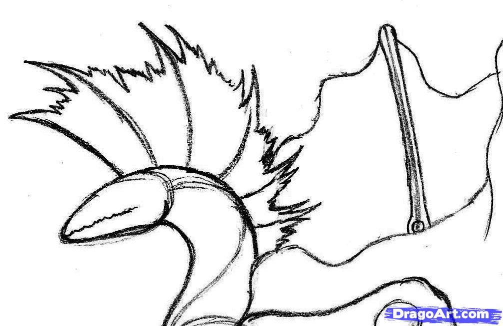 1006x653 draw a wyvern, step