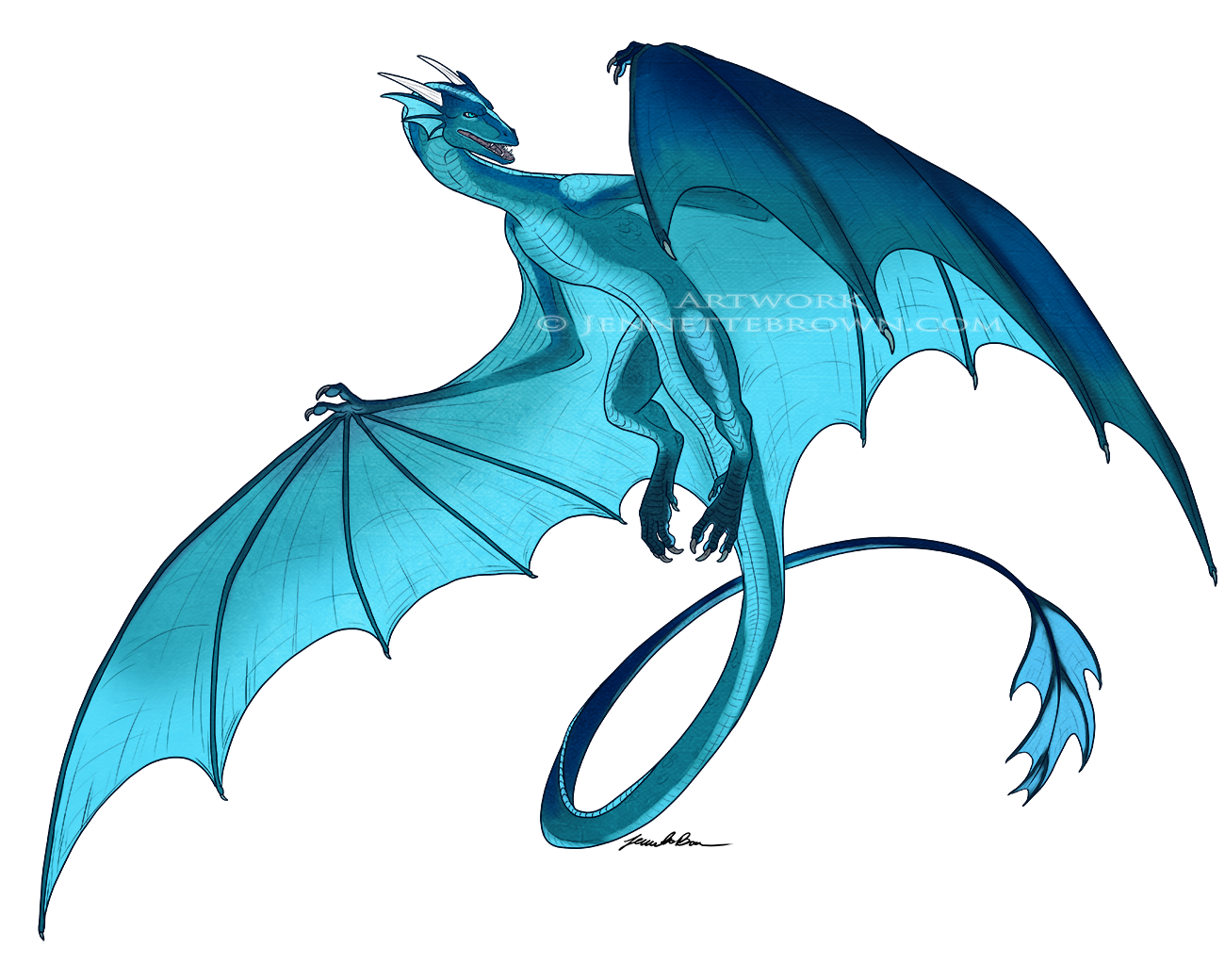 1300x1040 wyvern drawing simple huge freebie! download for powerpoint