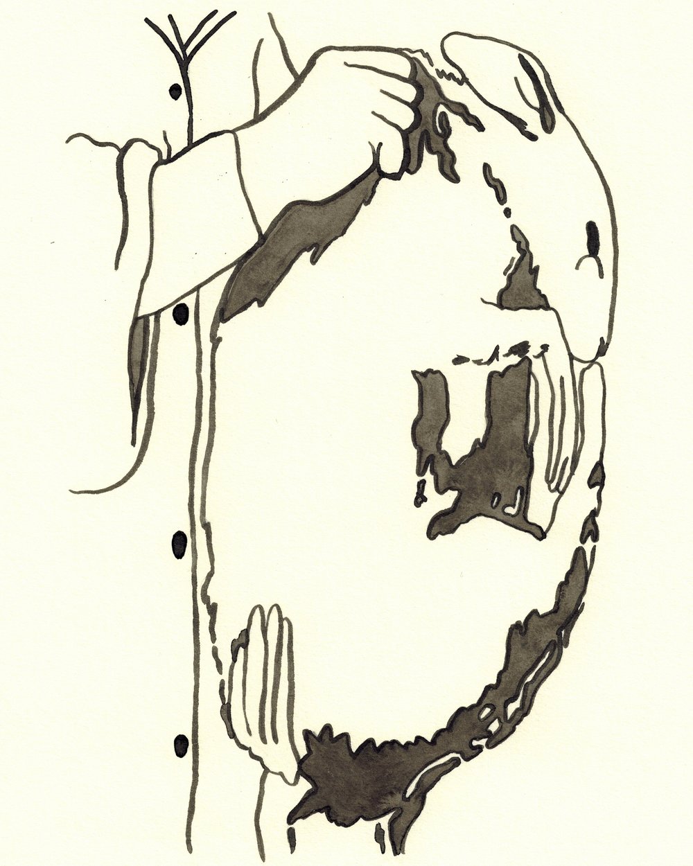 1000x1250 Drawings Pegacron