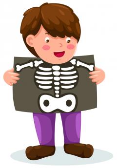 240x345 Imaging Children's Chests What I Learned Society Of Radiographers