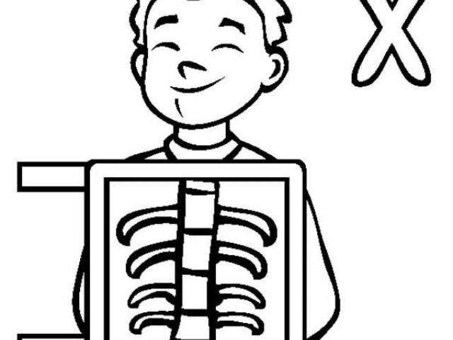 640x480 X Ray Clipart Coloring