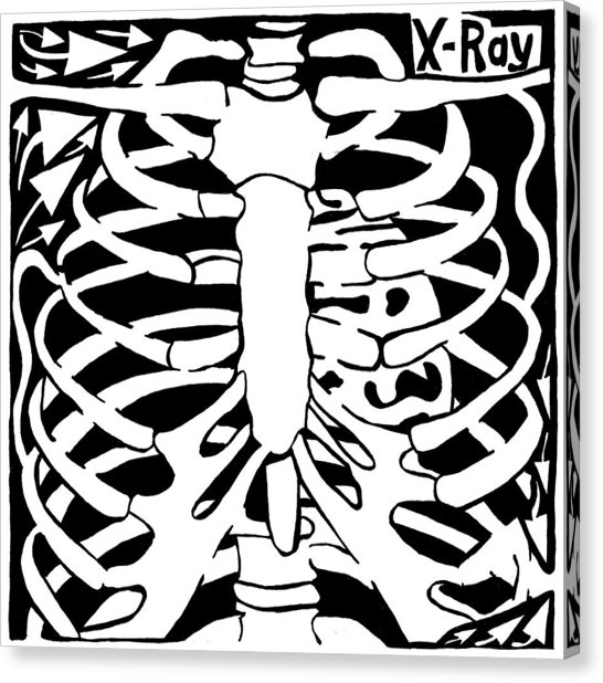 546x618 X Ray Maze Drawing