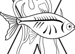 250x180 Kindergarten Letter X Worksheets Free Printables