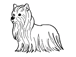 266x200 Letters X, Y, Z Coloring Pages, Worksheets And Color Posters