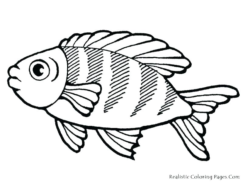 800x600 Coloring Pages Fish Coloring Pages Printable F Is
